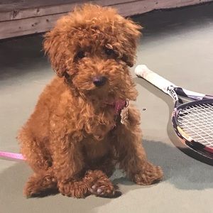 Meet your Posher, Maria